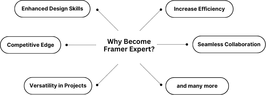 Steps to become a Framer Expert in 2024